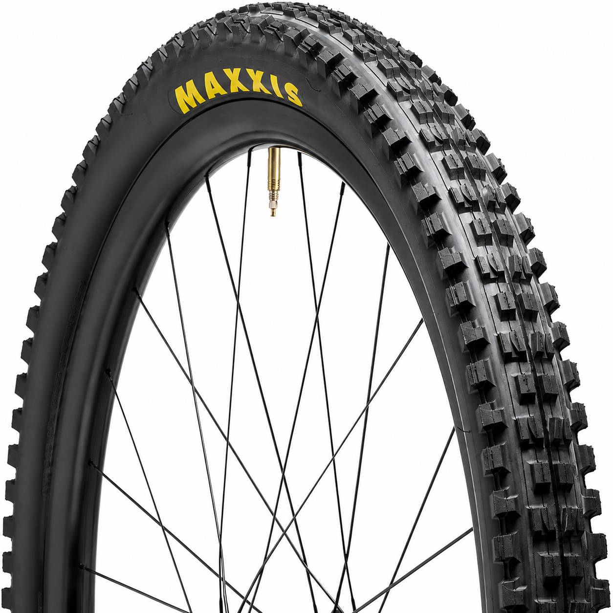 Minion DHF 29in Tubeless Mountain Bike Tire